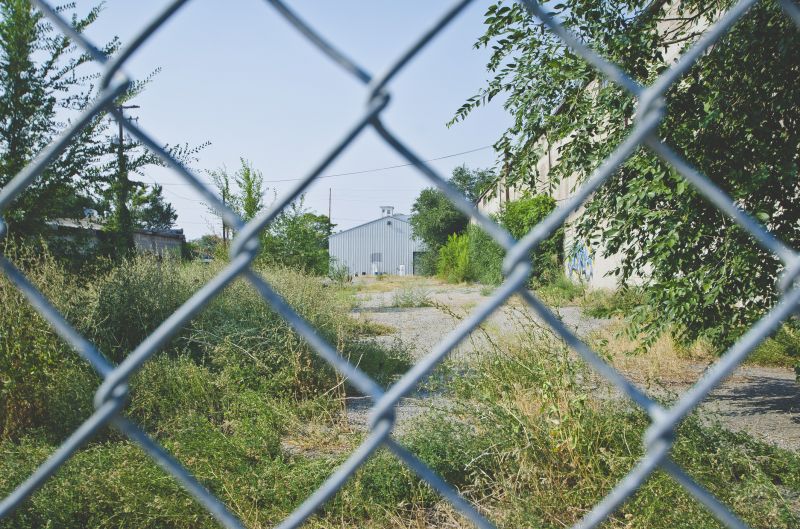 Chain Link Fence Painting