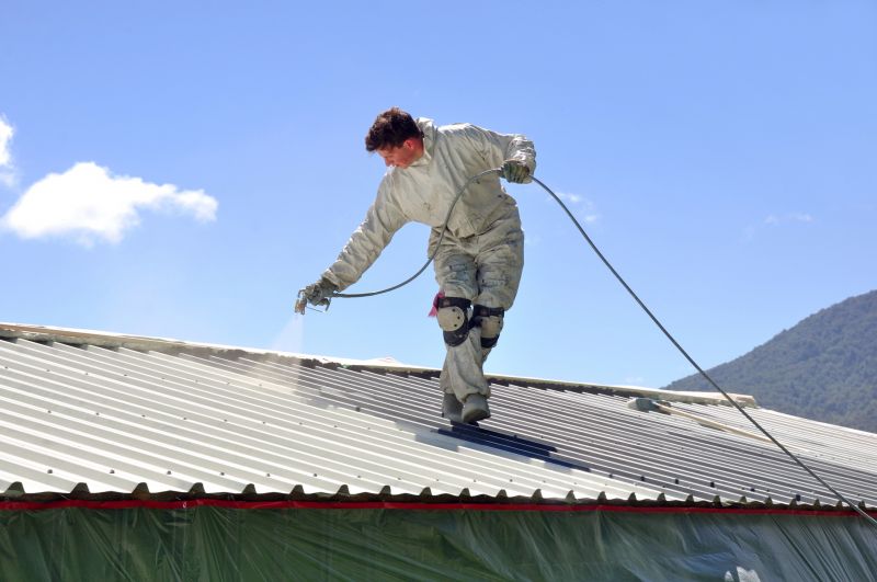 Metal Roof Painting